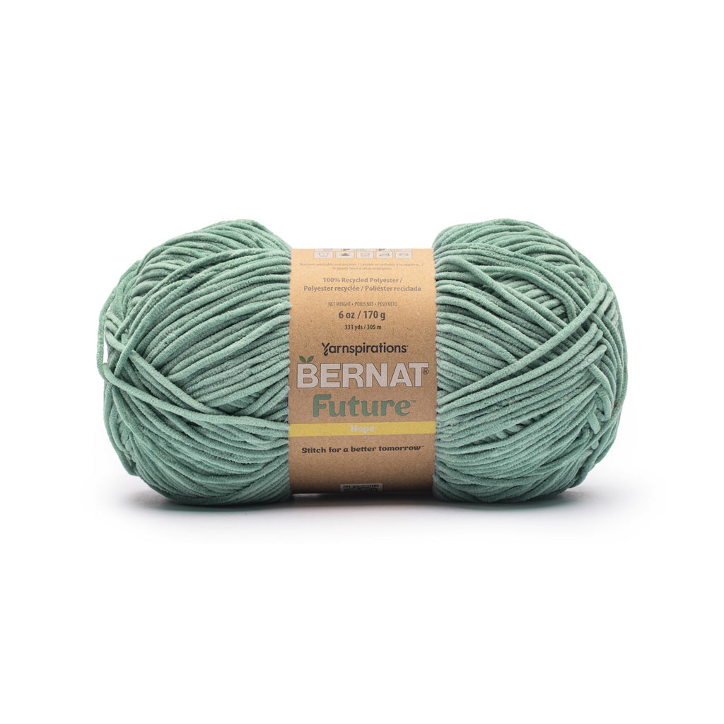 Future Hope Yarn